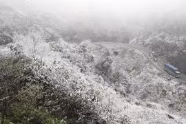 Reportan frío intenso y nieve en el Norte de Vietnam