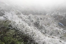 Reportan frío intenso y nieve en el Norte de Vietnam