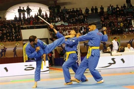 Establecen Federación del arte marcial vietnamita Vovinam en el mundo árabe 