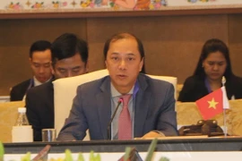 Vietnam trabaja para fortalecer asociación estratégica ASEAN-Japón