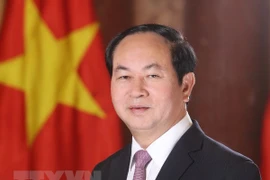 Próxima visita de presidente Dai Quang evidencia que Vietnam prioriza lazos con Egipto
