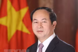 Próxima visita de presidente Dai Quang evidencia que Vietnam prioriza lazos con Egipto