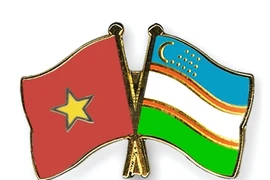 Asociación de Amistad Vietnam-Uzbekistán decidida a fortalecer relaciones bilaterales 