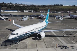 Aerolínea Lion Air solicita revisión técnica de aviones tras siniestro aéreo en Indonesia