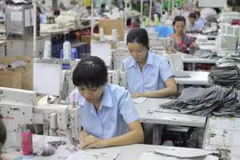 Sector de confecciones textiles de Vietnam: Oportunidades y también desafíos 