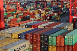 Señales positivas de trasiego comercial entre Vietnam y República Checa 