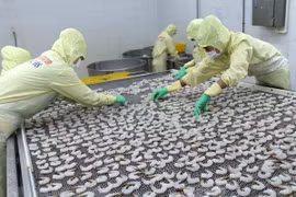 Vietnam busca soluciones contra devolución de productos acuícolas del extranjero 