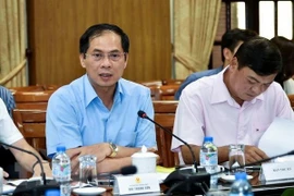 Actividades diplomáticas contribuyen a elevar posición de Vietnam en arena internacional, dice vicecanciller