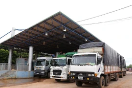 Cumbres de GMS y CLV: oportunidad para demostrar papel activo de Vietnam en la región