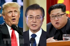 Llega a Singapur jefe de delegación de negociaciones de Corea del Norte