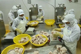 Vietnam despliega varias políticas para el levantamiento de tarjeta amarilla de UE