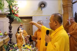 Festeja comunidad vietnamita en la India el Día de Vesak