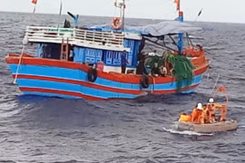 Vietnam impulsa medidas para combatir la pesca ilegal