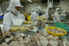 Exportaciones acuícolas de Vietnam podrán alcanzar nueve mil millones de dólares en 2018 