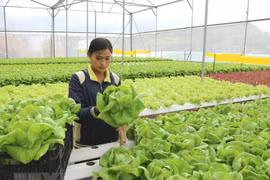 Vietnam e Israel promueven nexos económicos 