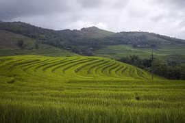 Belleza pacífica de terrazas arroceras en provincia vietnamita de Hoa Binh