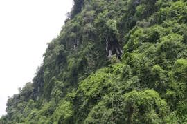Admiran pagoda antigua de Hang Uc en provincia vietnamita de Yen Bai