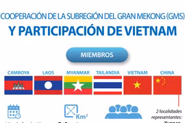  Participación de Vietnam en cooperación de la Subregión del Gran Mekong