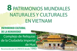Ocho patrimonios mundiales naturales y culturales en Vietnam