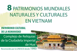 Ocho patrimonios mundiales naturales y culturales en Vietnam
