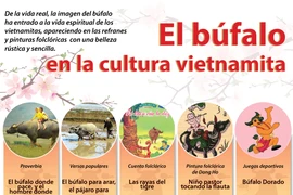El búfalo en la cultura vietnamita