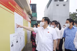 Revisan preparativos electorales en provincia vietnamita de Tuyen Quang