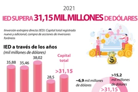 IED de Vietnam supera 31 mil millones de dólares en 2021