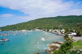 Exploran belleza prístina de isla vietnamita de Hon Son