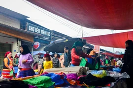 Mercado de Meo Vac en tierras altas vietnamitas