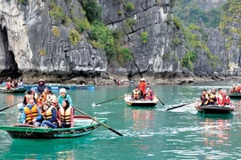 Vietnam disfruta de fuerte aumento en número de turistas indios