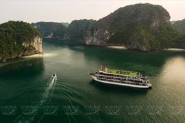 Exploran bahía vietnamita de Lan Ha