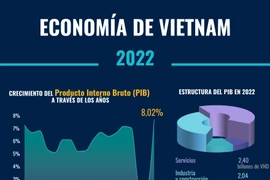 Economía de Vietnam crece 8,02 por ciento en 2022