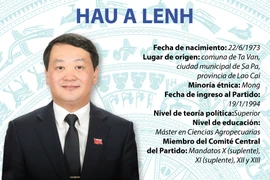 Eligen al ministro y jefe de la Comisión de Asuntos Étnicos de la Asamblea Nacional de Vietnam 