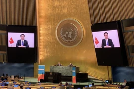 Vietnam comparte en ONU experiencias en lucha contra VIH/SIDA