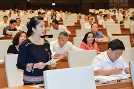 Vietnam aboga por mayor representatividad de minorías étnicas en el Parlamento