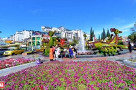 Da Lat, capital de exportación de flores
