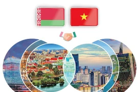 Nexos de amistad tradicional y cooperación multifacética Vietnam-Belarús