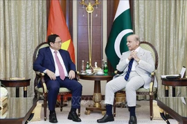 El primer ministro de Vietnam, Pham Minh Chinh, se reúne con su homólogo de Pakistán, Shehbaz Sharif. (Foto: VNA)