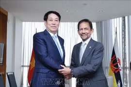 El presidente vietnamita, Luong Cuong, se reúne con el sultán de Brunei Darussalam, Hassanal Bolkiah. (Foto: VNA)