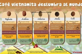 Café vietnamita deslumbra al mundo