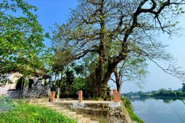 Phuoc Tich: la antigua aldea más bella de Hue