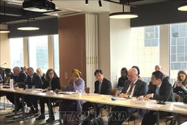 Vietnam participa en la sesión del Grupo de Amigos para la Educación y el Aprendizaje Permanente. (Foto: VNA)