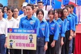 La provincia de Bac Giang promueve eficacia de grupos comunitarios de tecnología digital. (Foto: VNA)