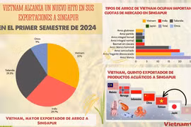 Vietnam alcanza un nuevo hito en sus exportaciones a Singapur