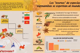 Especias vietnamitas se exportan al mundo