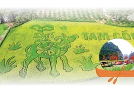 Amplias actividades en la Semana de Turismo de Ninh Binh 2024