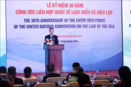 El asistente del Ministro de Relaciones Exteriores, Nguyen Minh Vu, habla en la cita. (Foto: VNA)