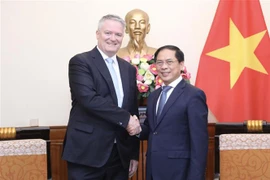 Consolidan cooperación entre Vietnam y OCDE