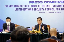 Vietnam desempeña con éxito su mandato en Consejo de Seguridad de la ONU, según canciller