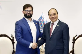 Presidente vietnamita sostiene reuniones bilaterales al margen de 29 Semana de Líderes Económicos de APEC
